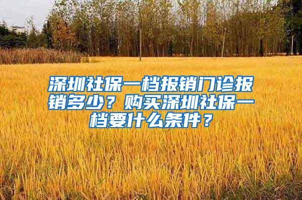 深圳社保一档报销门诊报销多少？购买深圳社保一档要什么条件？