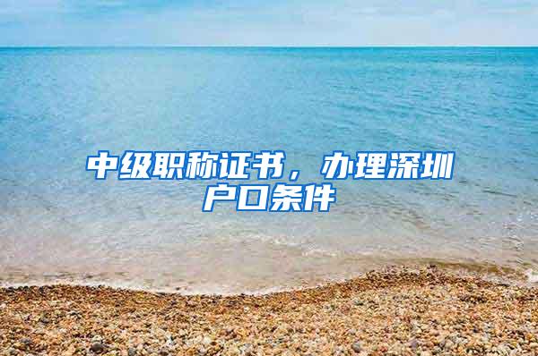 中级职称证书，办理深圳户口条件