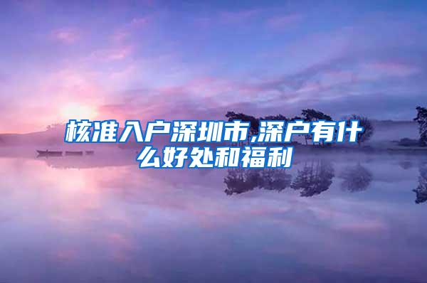 核准入户深圳市,深户有什么好处和福利