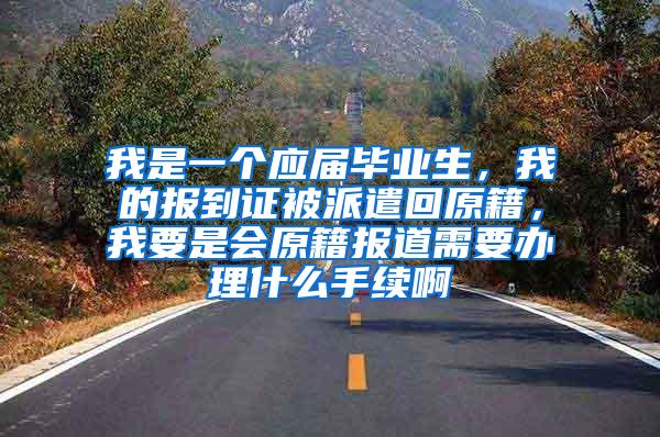 我是一个应届毕业生，我的报到证被派遣回原籍，我要是会原籍报道需要办理什么手续啊