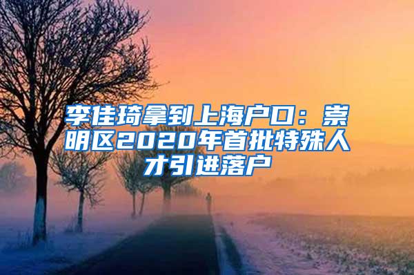 李佳琦拿到上海户口：崇明区2020年首批特殊人才引进落户
