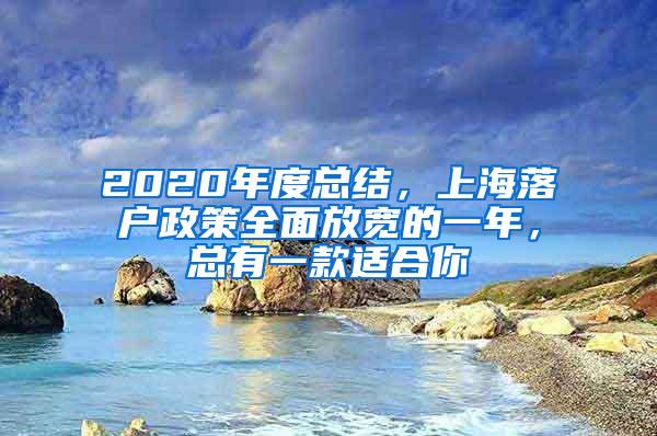 2020年度总结，上海落户政策全面放宽的一年，总有一款适合你