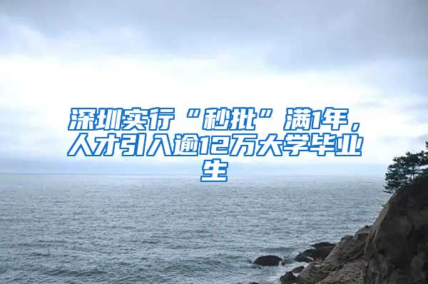 深圳实行“秒批”满1年，人才引入逾12万大学毕业生