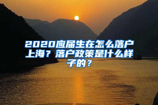 2020应届生在怎么落户上海？落户政策是什么样子的？