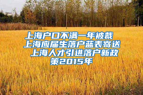 上海户口不满一年被裁 上海应届生落户蓝表寄送 上海人才引进落户新政策2015年