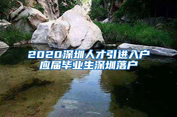 2020深圳人才引进入户应届毕业生深圳落户