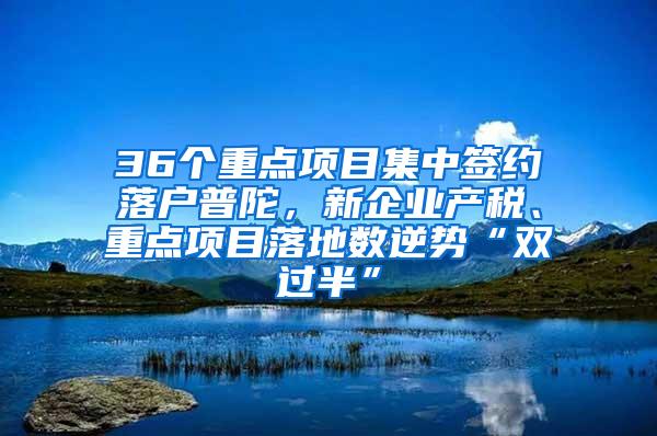 36个重点项目集中签约落户普陀，新企业产税、重点项目落地数逆势“双过半”