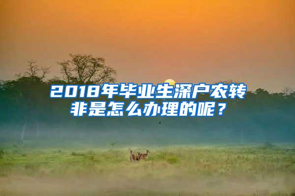 2018年毕业生深户农转非是怎么办理的呢？