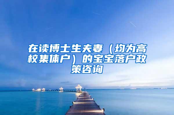 在读博士生夫妻(均为高校集体户)的宝宝落户政策咨询
