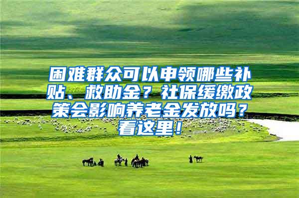 困难群众可以申领哪些补贴、救助金？社保缓缴政策会影响养老金发放吗？看这里！