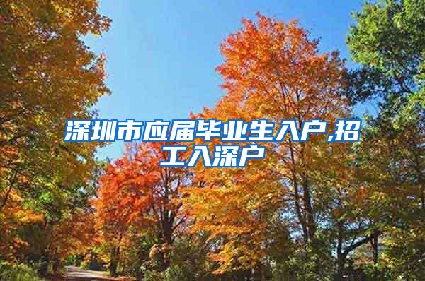 深圳市应届毕业生入户,招工入深户