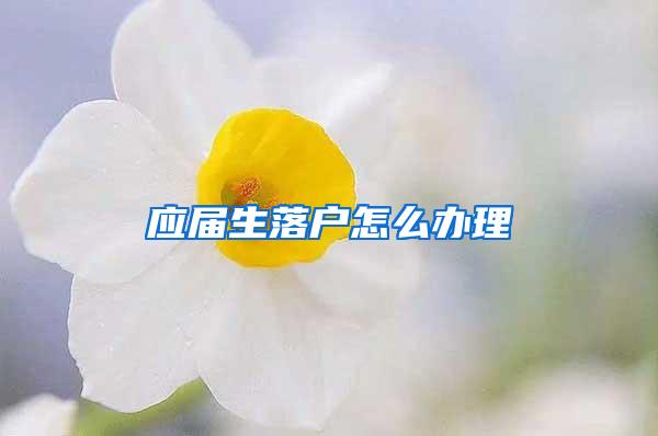应届生落户怎么办理