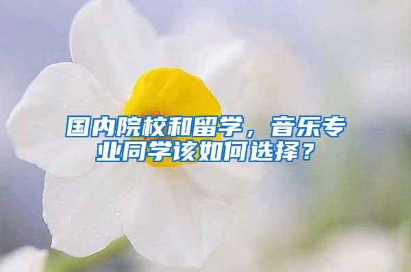 国内院校和留学，音乐专业同学该如何选择？