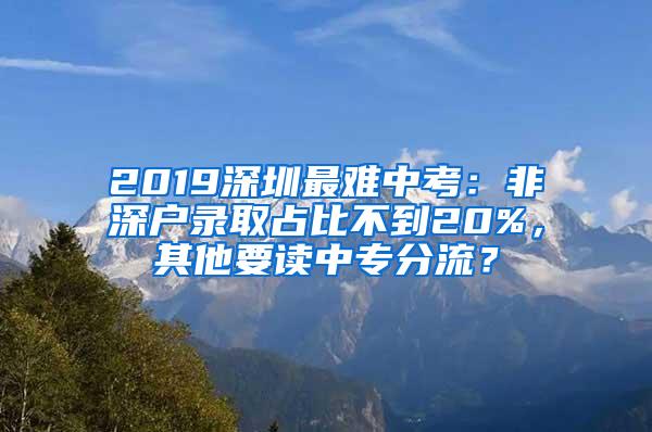 2019深圳最难中考：非深户录取占比不到20%，其他要读中专分流？