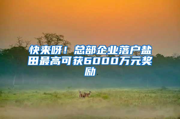 快来呀！总部企业落户盐田最高可获6000万元奖励