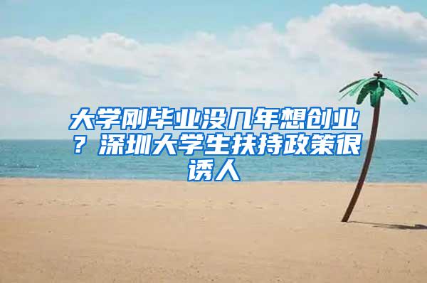 大学刚毕业没几年想创业？深圳大学生扶持政策很诱人