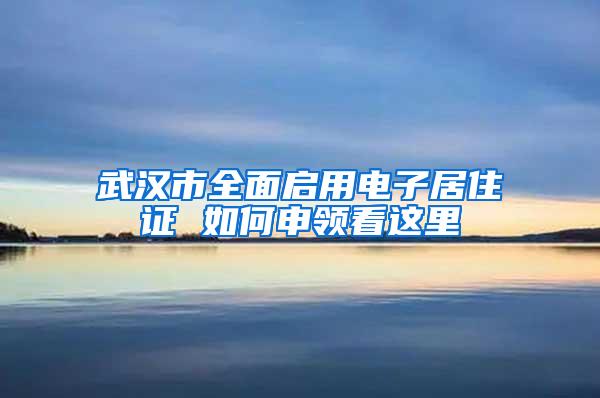 武汉市全面启用电子居住证 如何申领看这里