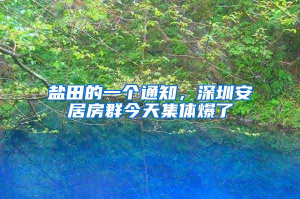 盐田的一个通知，深圳安居房群今天集体爆了