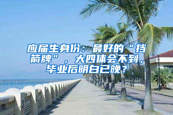 应届生身份：最好的“挡箭牌”，大四体会不到，毕业后明白已晚？