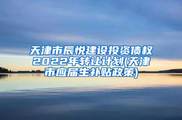 天津市辰悦建设投资债权2022年转让计划(天津市应届生补贴政策)