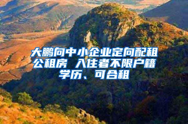 大鹏向中小企业定向配租公租房 入住者不限户籍学历、可合租