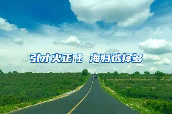 引才火正旺 海归选择多