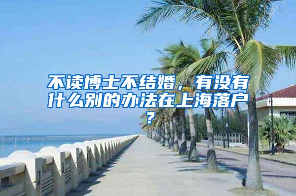 不读博士不结婚，有没有什么别的办法在上海落户？