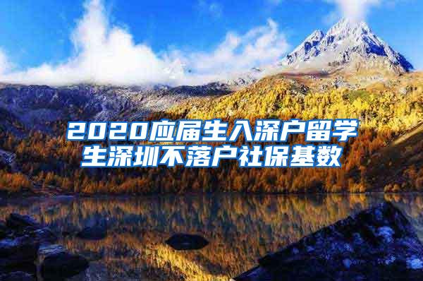 2020应届生入深户留学生深圳不落户社保基数