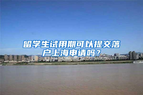 留学生试用期可以提交落户上海申请吗？