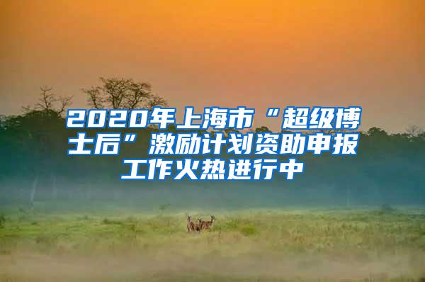 2020年上海市“超级博士后”激励计划资助申报工作火热进行中