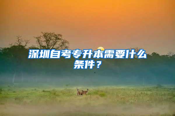 深圳自考专升本需要什么条件？