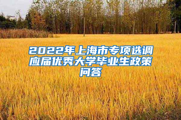 2022年上海市专项选调应届优秀大学毕业生政策问答