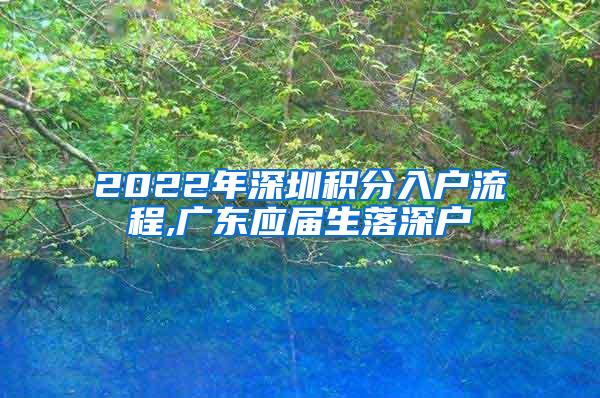 2022年深圳积分入户流程,广东应届生落深户