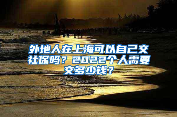 外地人在上海可以自己交社保吗？2022个人需要交多少钱？