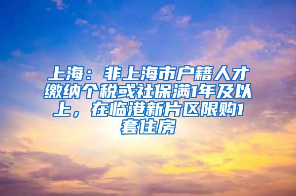 上海：非上海市户籍人才缴纳个税或社保满1年及以上，在临港新片区限购1套住房