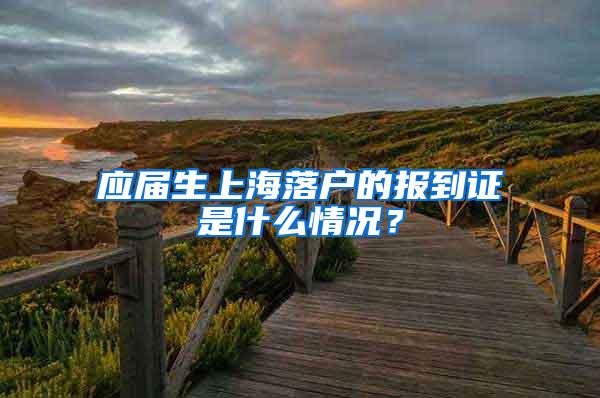 应届生上海落户的报到证是什么情况？