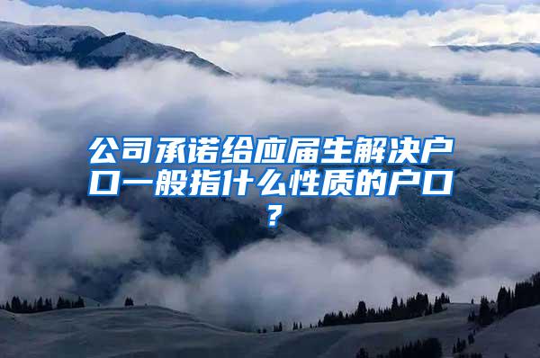 公司承诺给应届生解决户口一般指什么性质的户口？
