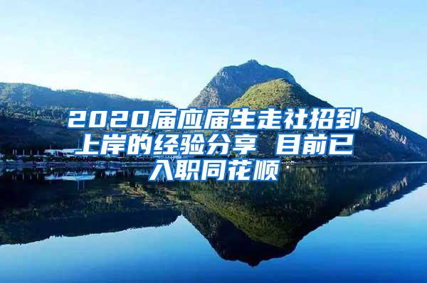 2020届应届生走社招到上岸的经验分享 目前已入职同花顺