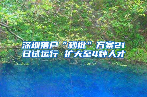 深圳落户“秒批”方案21日试运行 扩大至4种人才