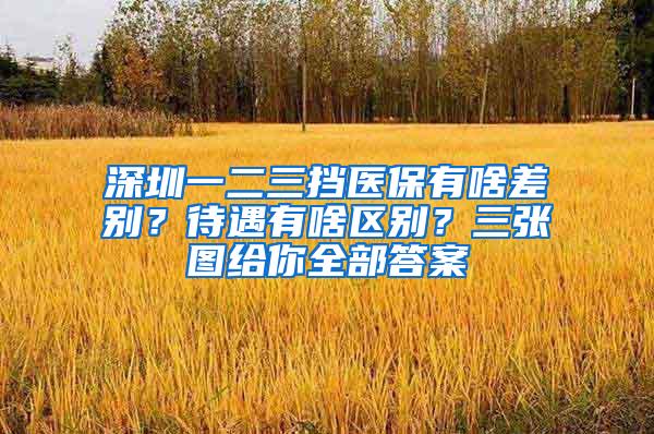 深圳一二三挡医保有啥差别？待遇有啥区别？三张图给你全部答案