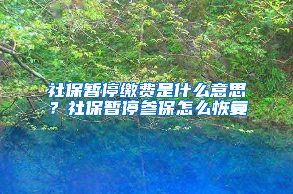 社保暂停缴费是什么意思？社保暂停参保怎么恢复