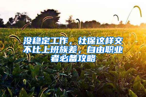 没稳定工作，社保这样交不比上班族差，自由职业者必备攻略