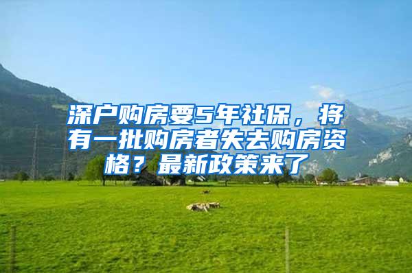 深户购房要5年社保，将有一批购房者失去购房资格？最新政策来了