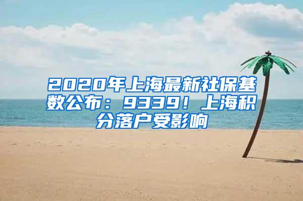 2020年上海最新社保基数公布：9339！上海积分落户受影响