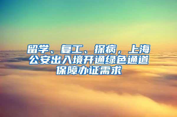 留学、复工、探病，上海公安出入境开通绿色通道保障办证需求