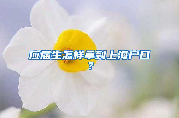 应届生怎样拿到上海户口？