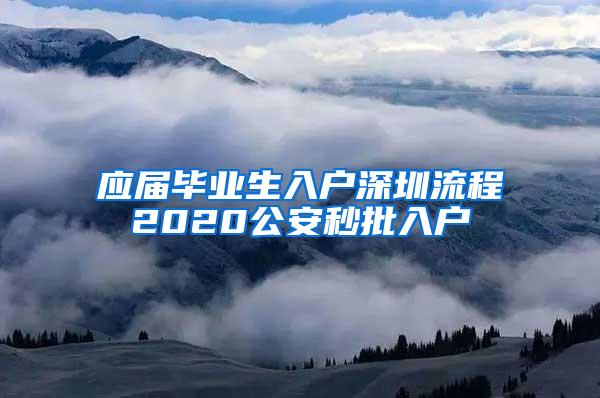 应届毕业生入户深圳流程2020公安秒批入户