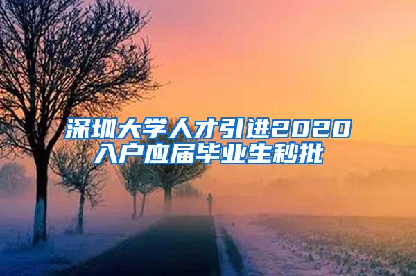 深圳大学人才引进2020入户应届毕业生秒批