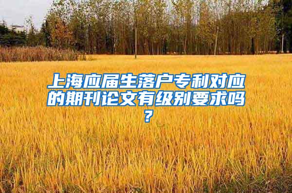 上海应届生落户专利对应的期刊论文有级别要求吗？