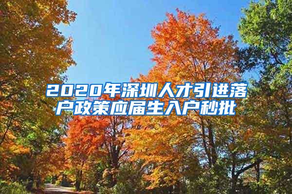 2020年深圳人才引进落户政策应届生入户秒批